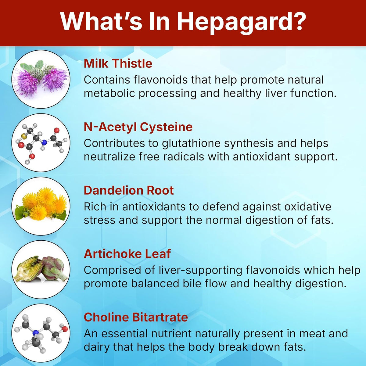 Hepagard Natural Liver Support Supplement with NAC, Vegan, Gluten-Free 30 Count (Pack of 1)