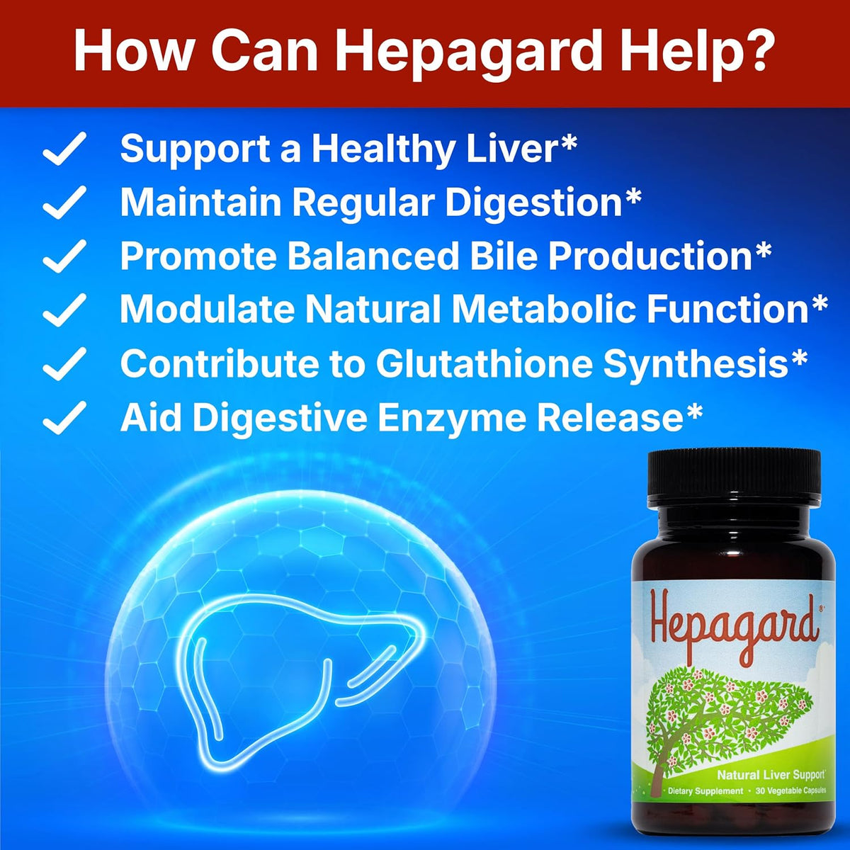 Hepagard Natural Liver Support Supplement with NAC, Vegan, Gluten-Free 30 Count (Pack of 1)